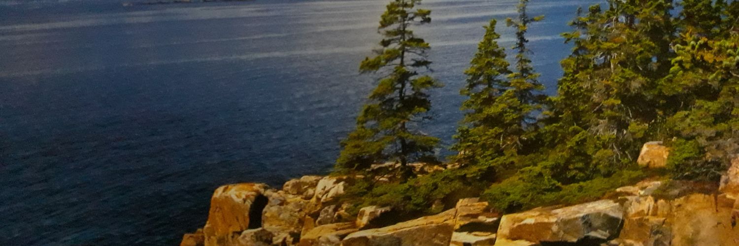 Daniel42037's profile banner image