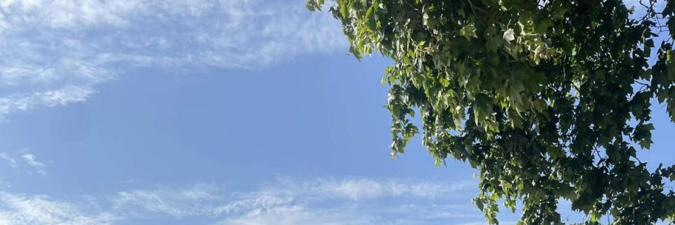 goUndineod's profile banner image