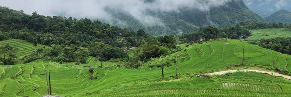 cvidalaltadill Profile Banner