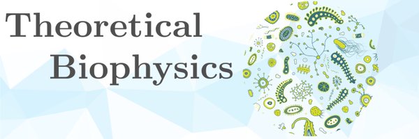 TheoBiophysics Profile Banner
