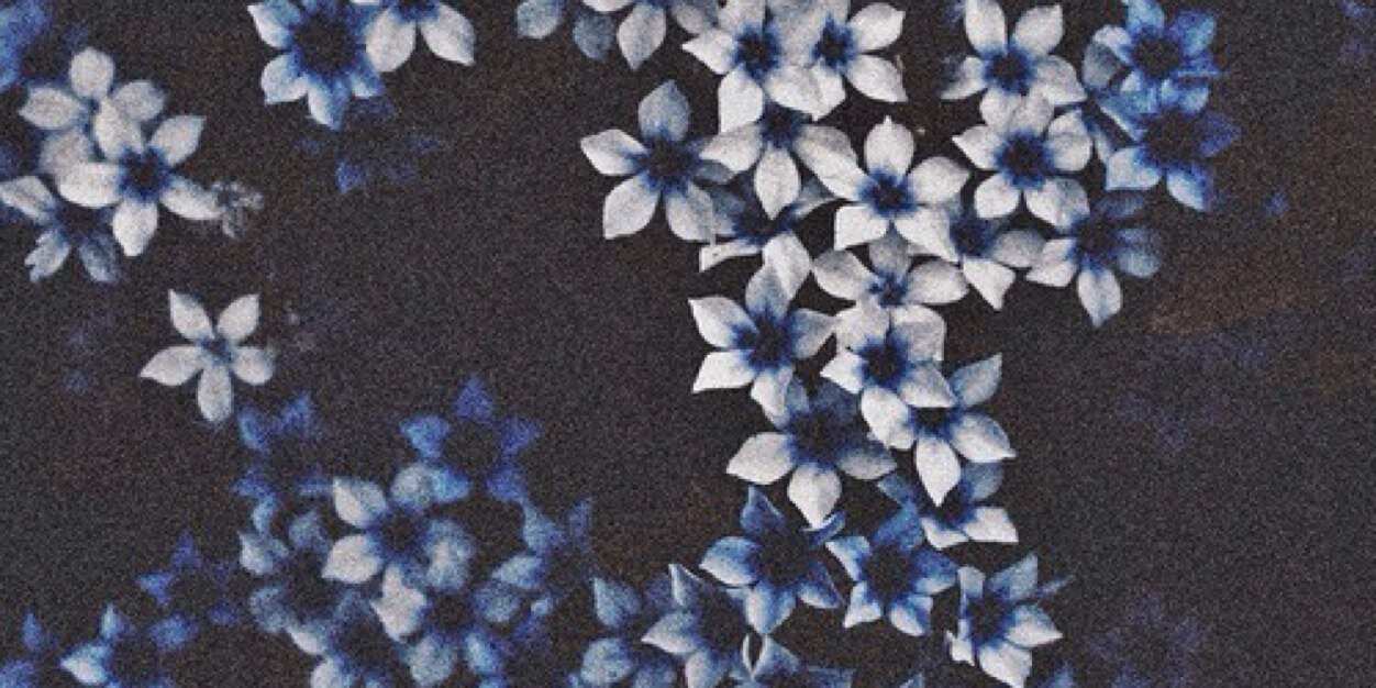 nulltid's profile banner image