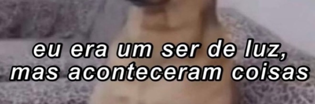 caroolcarai's profile banner image