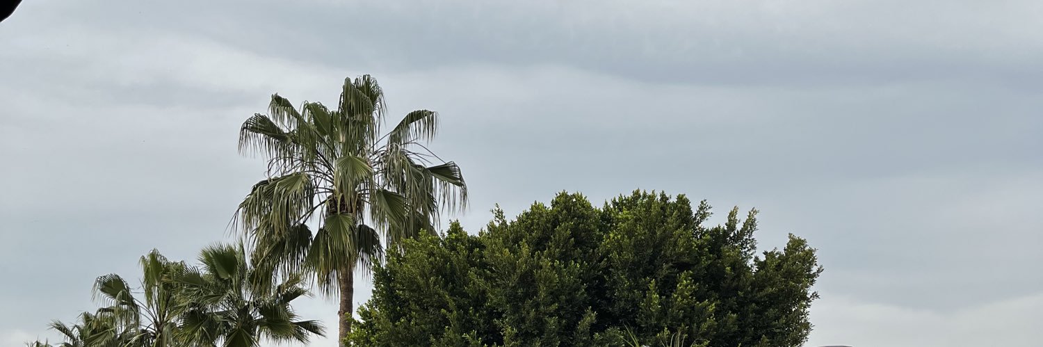 Gozzdeekse01's profile banner image
