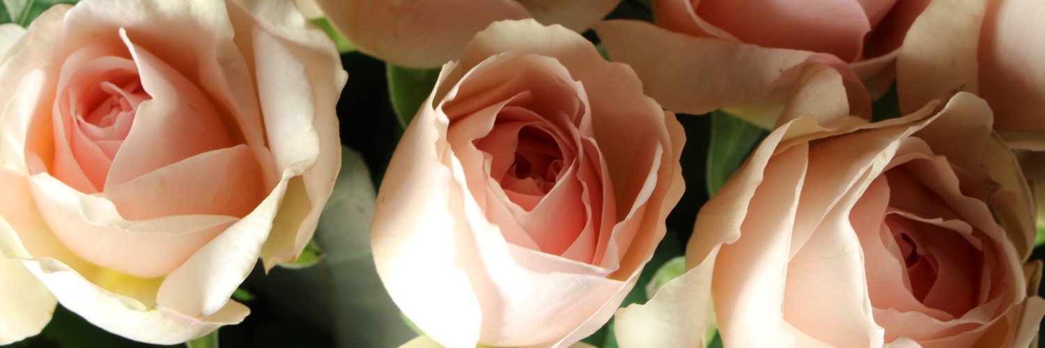 MUCHOJI's profile banner image