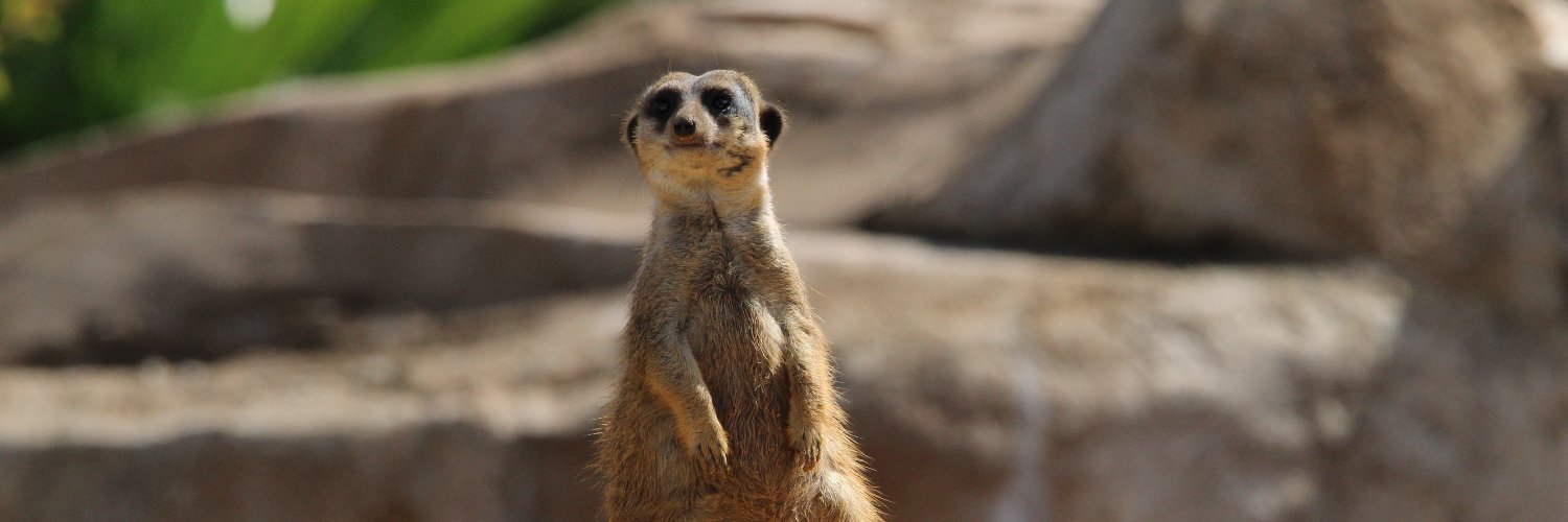 Nature et Zoo banner