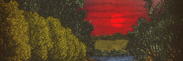 dsaorthocaucus Profile Banner