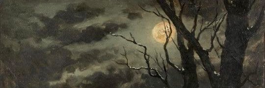 Lucidious banner