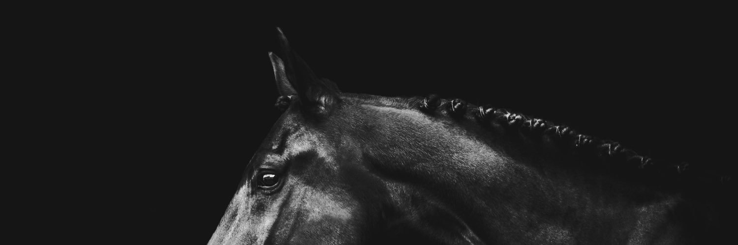 Lovisa Andersson banner