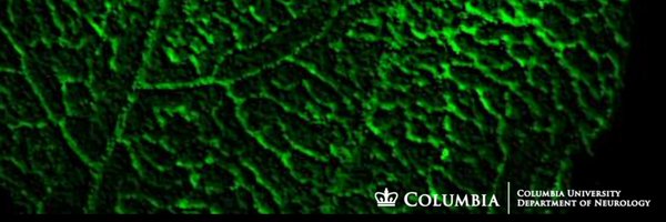 AgalliuLab Profile Banner
