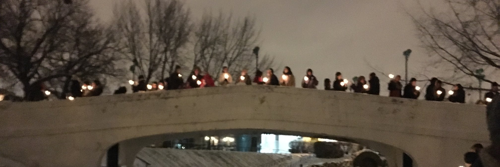 Claire Trottier banner