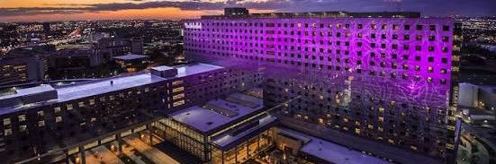 Heather Kitzman, PhD banner