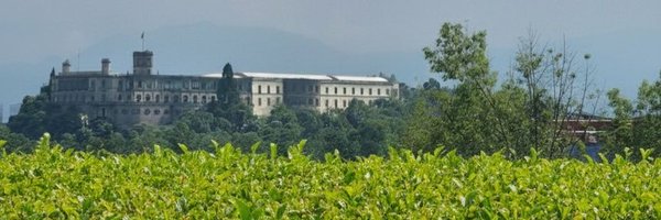 AleDuarteMtz Profile Banner