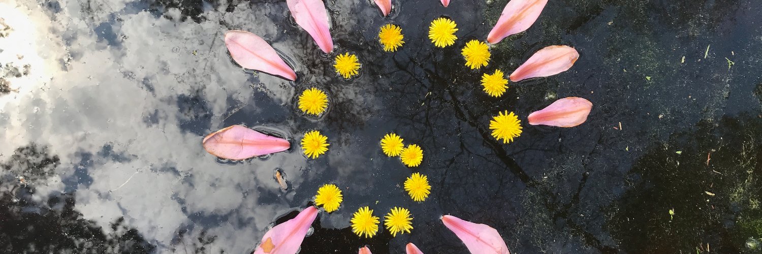 Kelly Lockeman banner