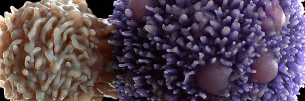 ImmunoBiophys Profile Banner