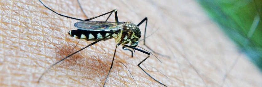 One Health PACT banner