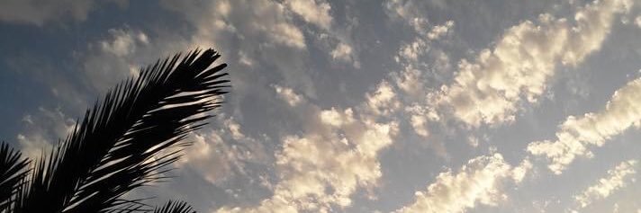 ossandon_rubio's profile banner image