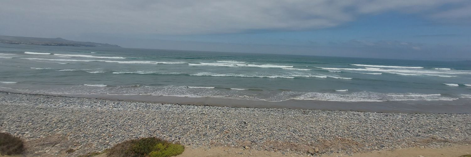 Sandripaz's profile banner image