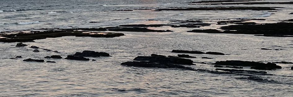 No Cap 🚫🧢 banner