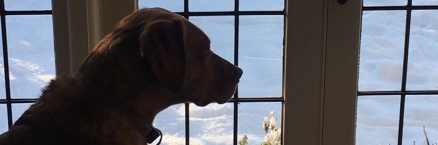 SteveWhinge's profile banner image