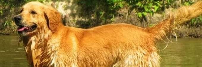 wiserkriss's profile banner image