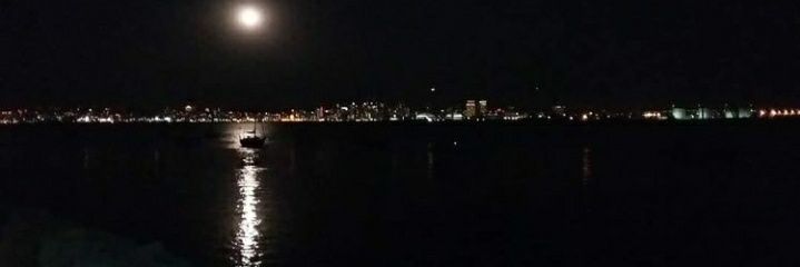 SoCalRedhead💔 🌊🇺🇸🇺🇦🐅 No tolerance 4 FOOLS! banner