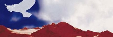 Rikardo36's profile banner image