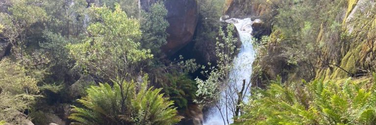 Dr Jessica Biles banner