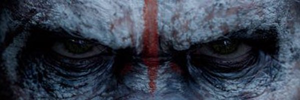 Hunter_Morris24 Profile Banner