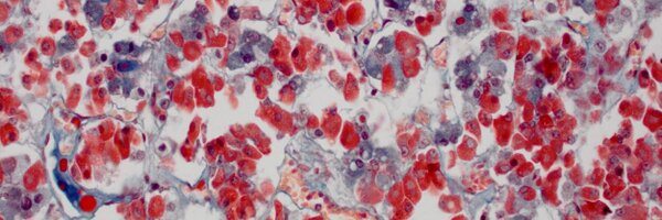 LLCoolProf Profile Banner