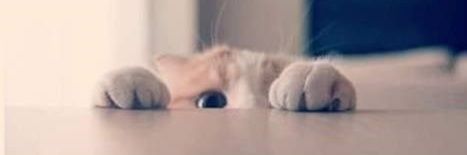 Min ||| banner