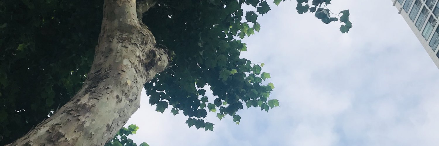 allurekhs's profile banner image