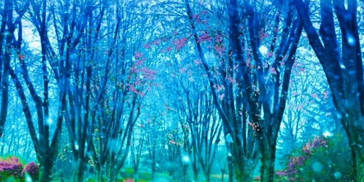 Sheillaanindya_'s profile banner image