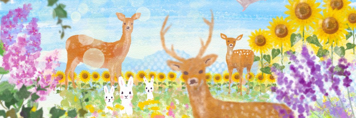 s__n_'s profile banner image