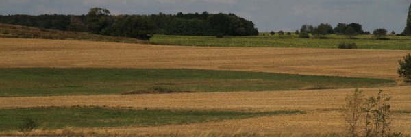 GuyPeer3 Profile Banner
