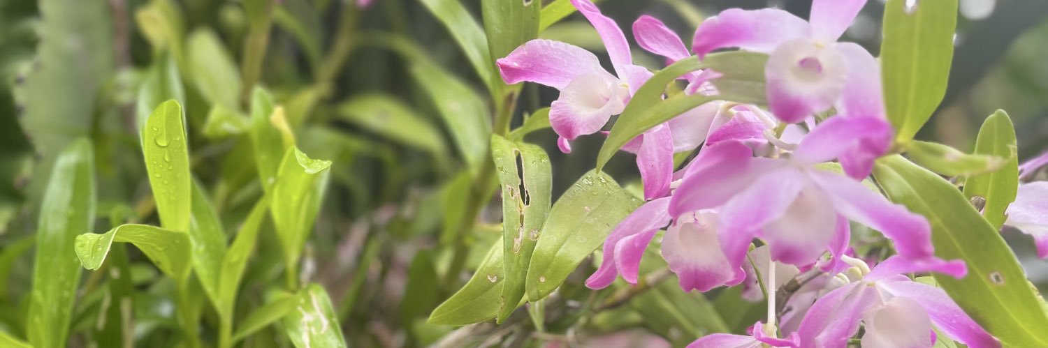 Not4U 🇫🇷🏳️‍🌈🇺🇦🧸 banner