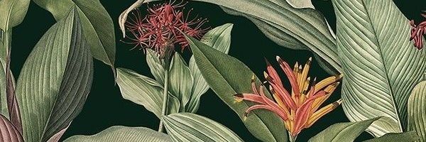gisesupato's profile banner image