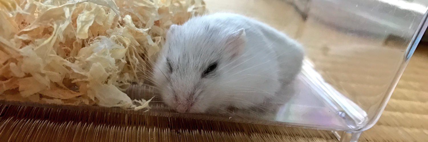 acinuy's profile banner image