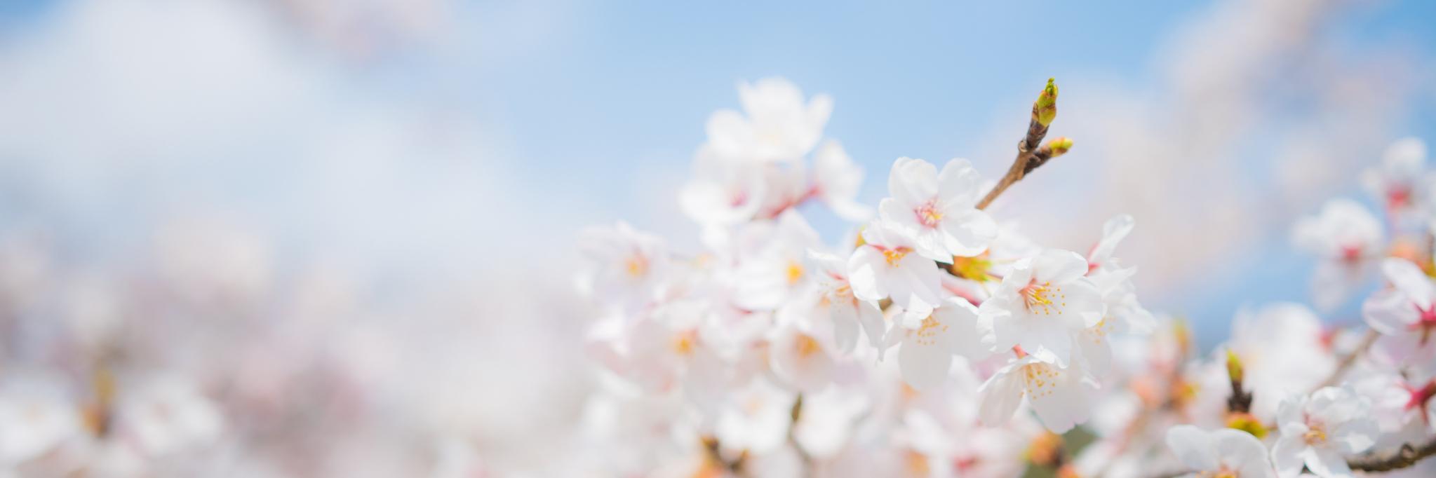 bncd_45's profile banner image