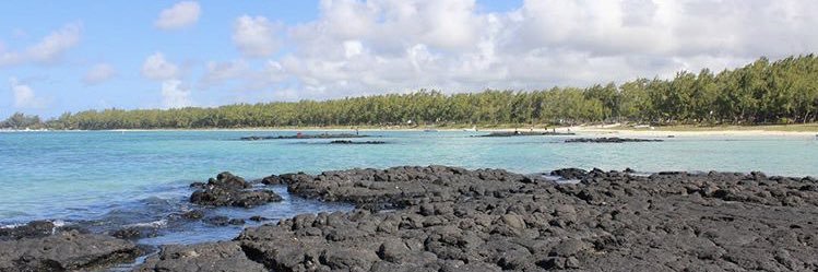 Adarsh Ramchurn banner