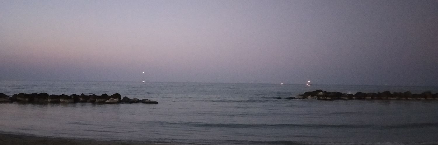 Celeste Sebastiani banner