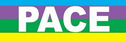 Fortunato Cerlino banner