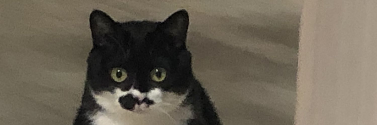 Min_nnM's profile banner image