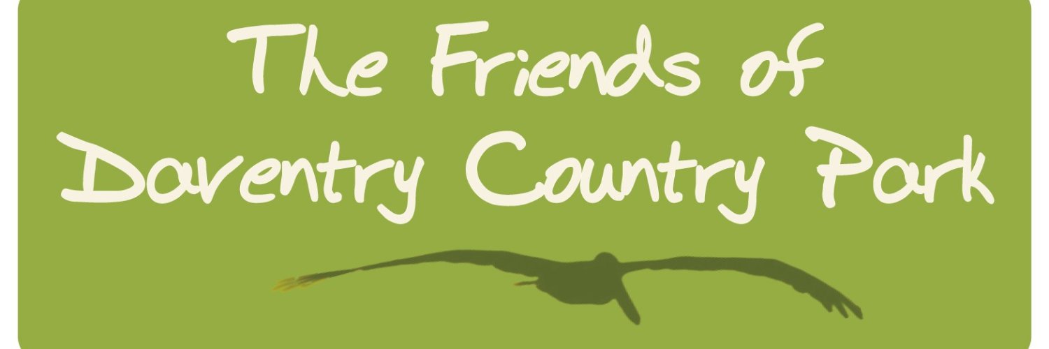 Friends DCP banner