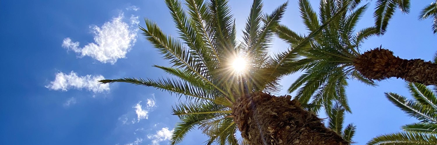 Млађан Антић banner