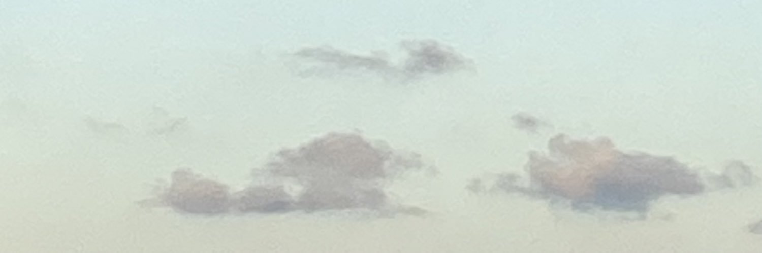 sebijiavocado banner