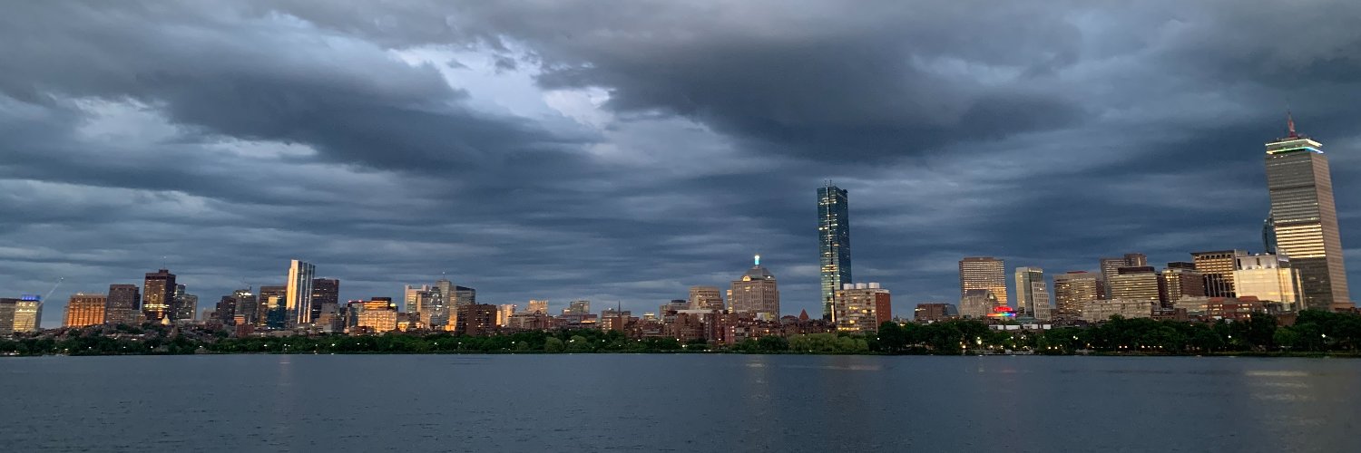 Lissa C Baird banner