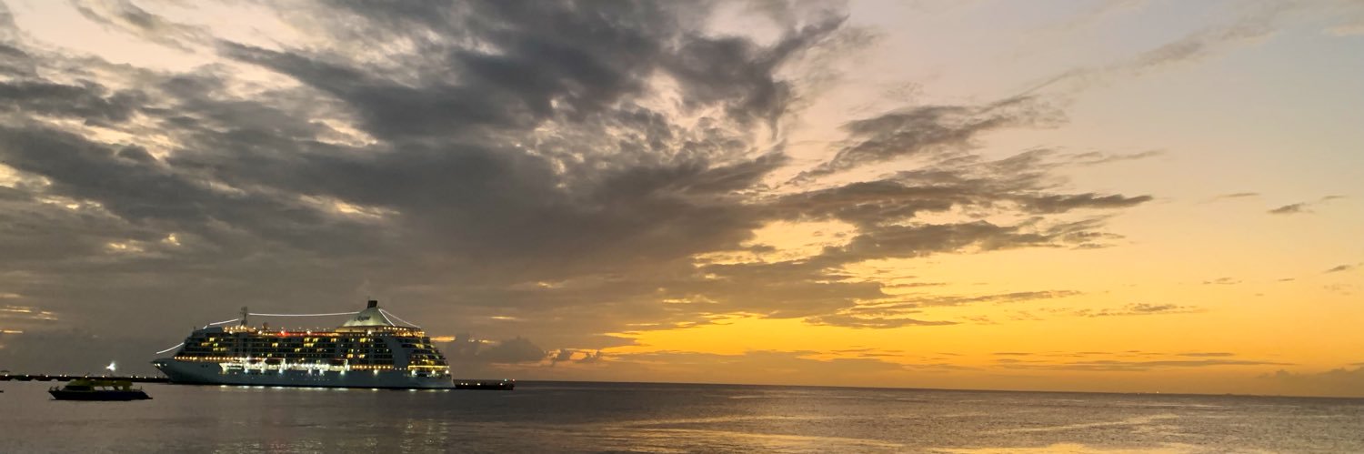 perezcooper's profile banner image
