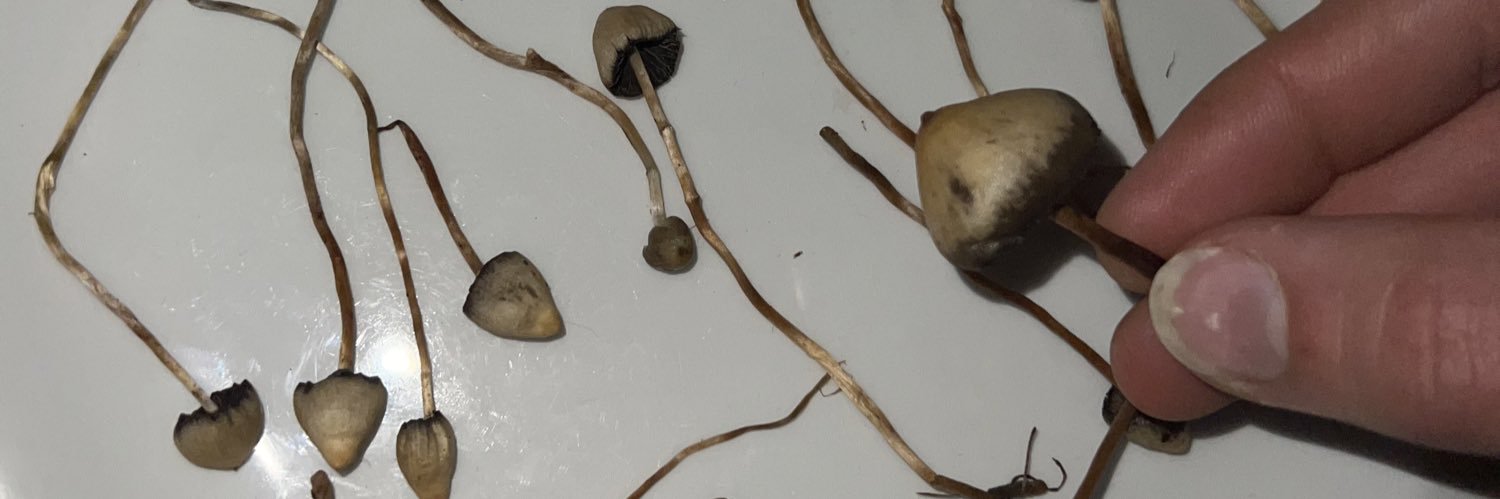 Enjoyable Listens banner