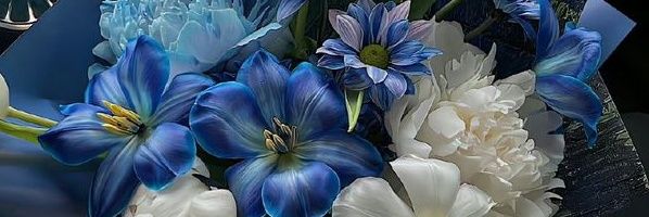 gnur_sena's profile banner image