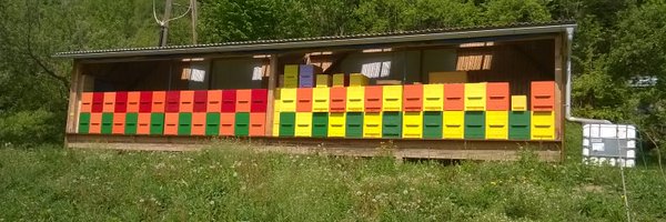 BeekeeperSi Profile Banner